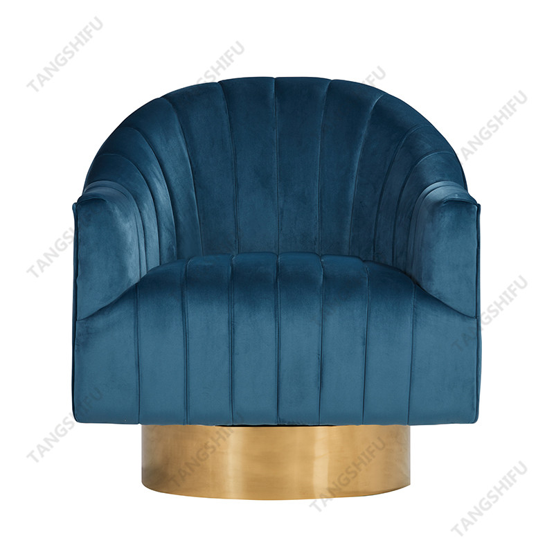 TSF-6629-Light Blue Accent chairs